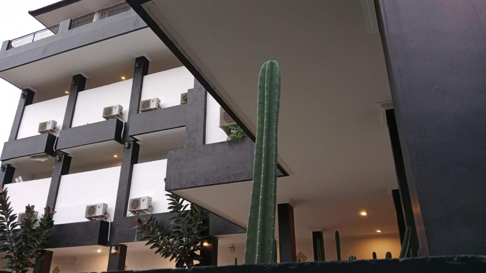 Nomad Hub Canggu  Luaran gambar